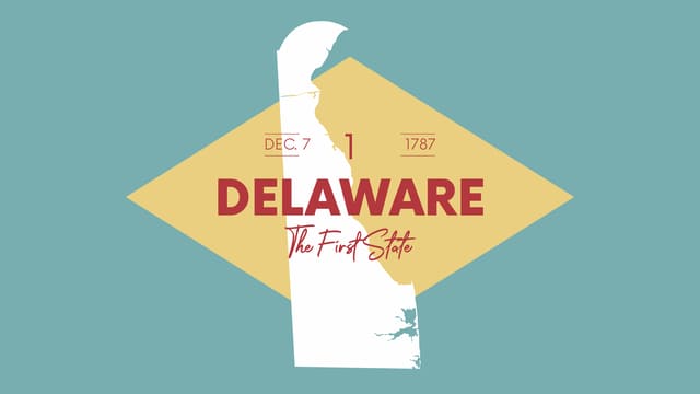 llc en florida o delaware